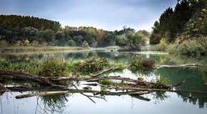 pollution eau r�sidus m�dicaments m�dicamenteux environnement risques micro-polluants polluants traitement des eaux biod�gradable