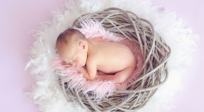 B�b� maman ovule spermatozo�de production sexu�e parth�nog�n�tiques parth�notes haplo�des embryon