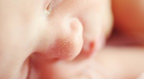 b�b� naissance adn parents trois transfert mitochondrial �thique embryologie procr�ation
