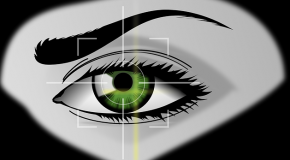 oeil bionioque Argus II Iris II Second Sight Pixium Vision Retina Implant