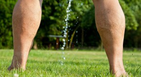 prostate d�pistage cancer g�nital urinaire PSA biopsie IRM