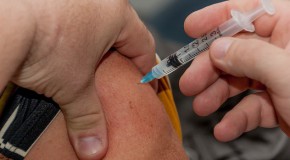 grippe pidmie vaccin virus grippaux maux de tte frisson contamination conatgieux