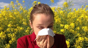 printemps allergies pollinisation pollen allergique