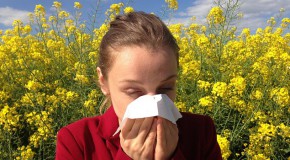 printemps allergies pollinisation pollen allergique