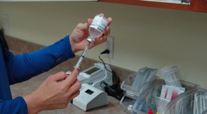vaccin zika arbovirus virus fivre microcphalie pidmie