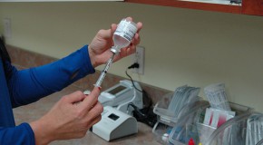 vaccin zika arbovirus virus fi�vre microc�phalie �pid�mie