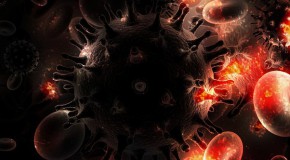 VIH Sida cellules trith�rapie virus syst�me immunitaire marqueur r�servoir