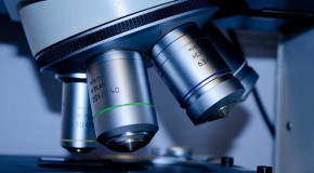 girus virus cellules virus g�ant microbe mimivirus pandoraviruspithovirus