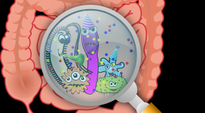 fatigue chronique flore intestinale bact�ries intestinales enc�phalomy�lite myalgique
