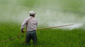 atrazine pesticide herbicide interdit prohib� France exportation