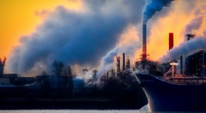 chaud chaleur vague canicule r�chauffement climatique mort