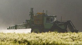 glyphosate herbicide pesticide interdiction France homologation