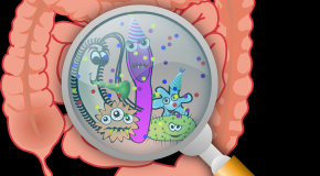 infection alimentaire cause sympt�mes pr�vention risque contamination hygi�ne