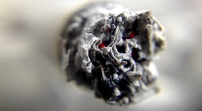 ados adolescents tabac cannabis drogue