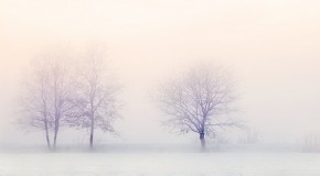 Grand froid vague de froid comportement sant� r�flexes
