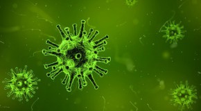 infections urinaires bact�ries pr�vention g�lule canneberge probiotique