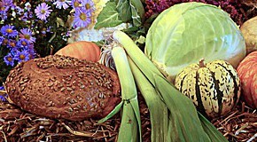 fibres alimentaires alimentation diab�te type 2