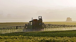 Monsanto Dewayne Johnson t�moignage proc�s glyphosate cancer Roundup