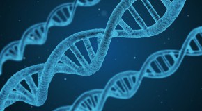 naissance bb Gntiquement modifi ADN