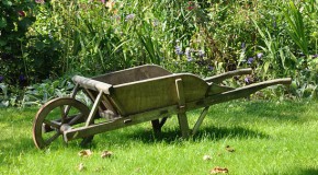 interdiction pesticide glyphosate particuliers
