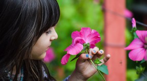 Pollution polluants produits chimiques capacit�  respiratoire enfants grossesse