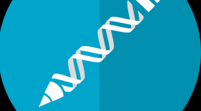 CRISPR-Cas9, record de modifications dans une seule cellule édition génétique record CRISPR modification cellule gène