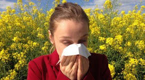 Asthme maladie pathologie enfant enfance allergie