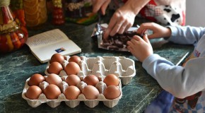 lgumes alimentation enfant cuisine implication