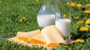 intolrance lactose allergie lait