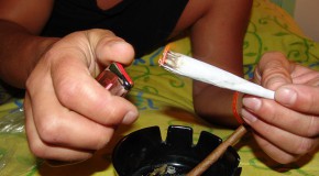 Un joint de cannabis affecte la conduite pendant 13 heures joint cannabis conduite fumeurs temps de réaction