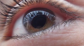 vision vue c�cit� d�ficience visuelle maladie sant� monde