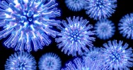 grippe H1N1 universit McGill pathogne virus enzyme vaccin