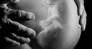 alcool grossesse foetus angleterre mre jurisprudence