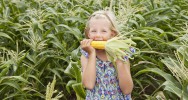 pesticides enfants sant perturbateurs endocriniens PE rapport Gnrations futures