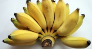 banane OGM mortalit infantile super banane