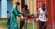 Ebola virus 337 dcs hausse