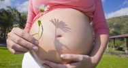 pesticides bbs femmes enceintes autisme