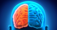 cerveau 10% mythe intelligence crativit