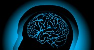 cerveau confiance jugement conscience inconscient amygdale cerveau images subliminales consciemment inconsciemment