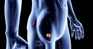 dpistage cancer de la prostate balance bnfice risque the lancet