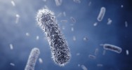 dmnagement microbes bactries voyage micro-organisme microbiote signature microbienne