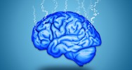 cerveau sommeil dormir souvenir mmoire apprentissage catgorisation identifier mot sens analyser tche automatisable cerveau endormi veil