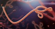 ebola ; VIH ; traitement ; mdecin