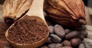 chocolat cacao flavanols mmoire cognitif