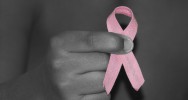cancer du sein Palbociclib traitement tumeur mdicament cellule cycline D1 