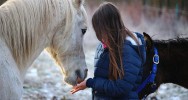 quithrapie thrapie cheval France thrapeuthes