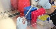 recherche laboratoire anti-corps vaccin virus Zika Dengue