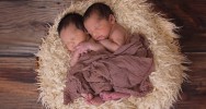 grossesse gmellaire gmellit jumeaux accouchement date terme 37 semaine mort mortalit nonatale naissance.