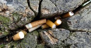 Strasbourg interdiction cigarette fumer espace vert fumeur non-fumeur