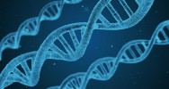 naissance bb Gntiquement modifi ADN